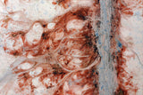 Dried and frozen lake Vrbje, Slovenia Poster och Canvastavla