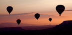 balloons Poster och Canvastavla