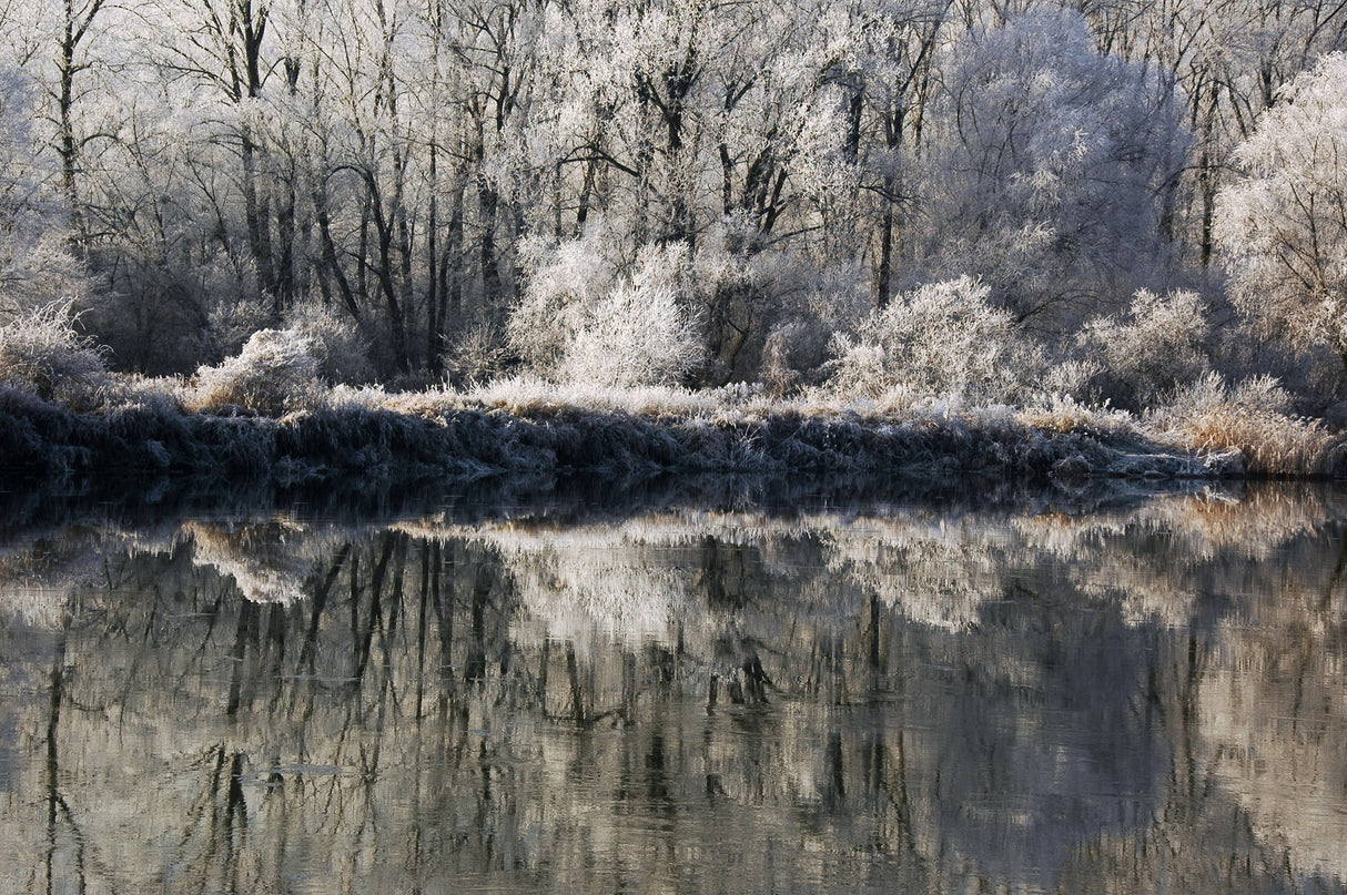 The first of winter Poster och Canvastavla