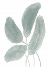 Leaves Watercolor 02 Poster och Canvastavla