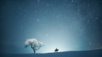 A starry night Poster och Canvastavla