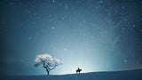 A starry night Poster och Canvastavla
