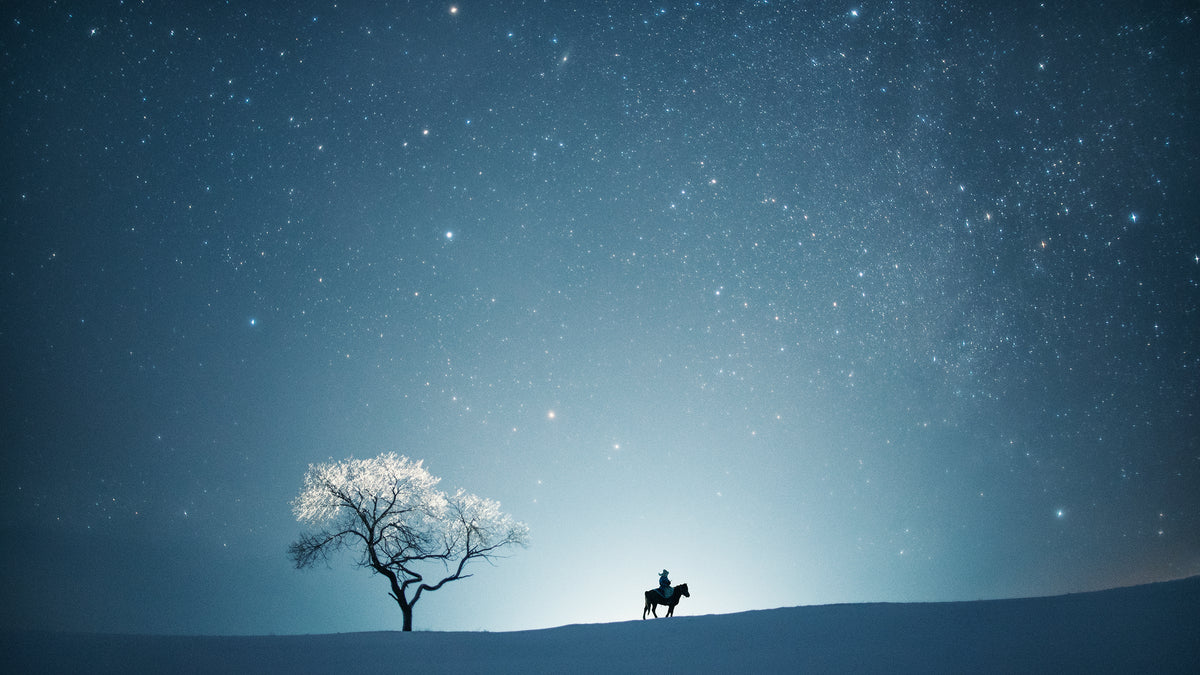 A starry night Poster och Canvastavla