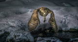 Blakiston fish  owl catch in the night Poster och Canvastavla