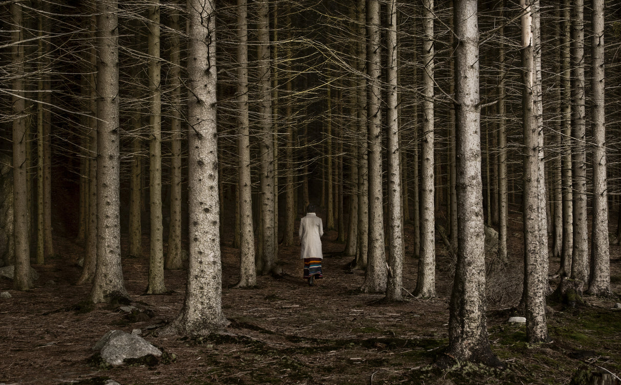 Into the woods Poster och Canvastavla
