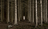 Into the woods Poster och Canvastavla