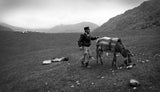 Shepherd with donkey Poster och Canvastavla