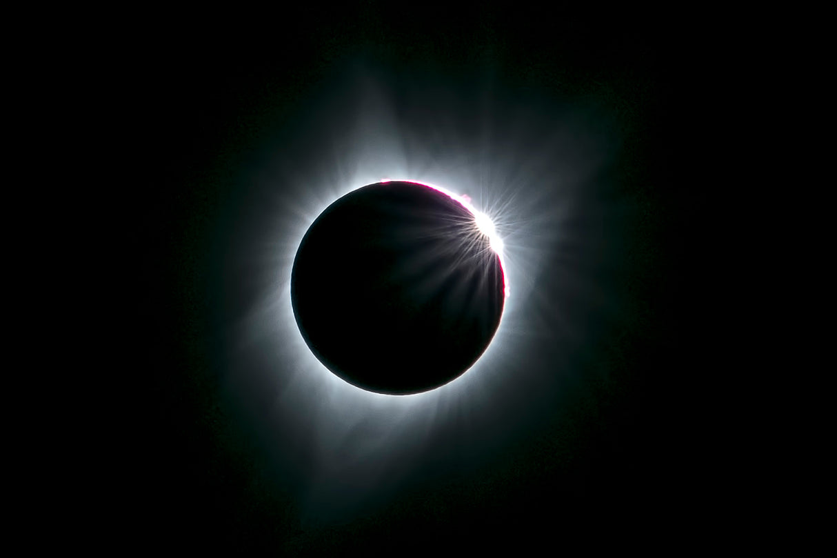 2017 total solar eclipse Poster och Canvastavla