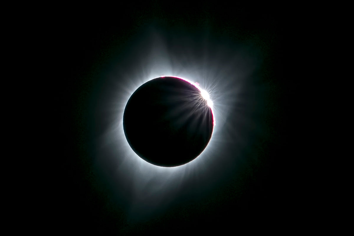 2017 total solar eclipse Poster och Canvastavla