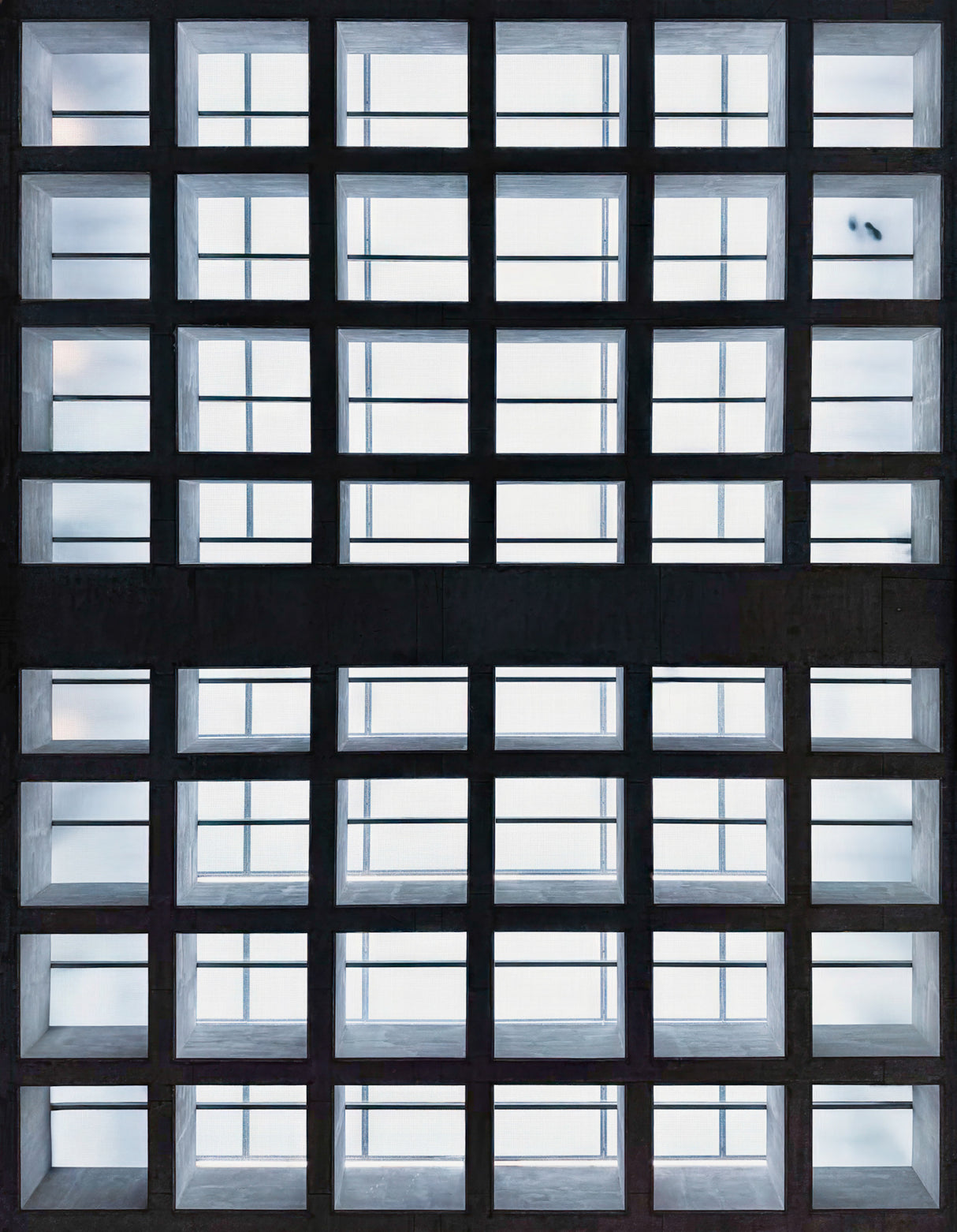 Transparent ceiling Poster och Canvastavla