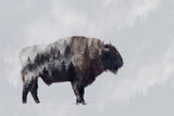 Bison - Double Exposure Poster och Canvastavla
