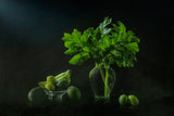 Healthy Greens Poster och Canvastavla