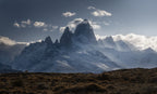 Guanacos' Homeland Poster och Canvastavla