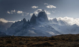 Guanacos' Homeland Poster och Canvastavla