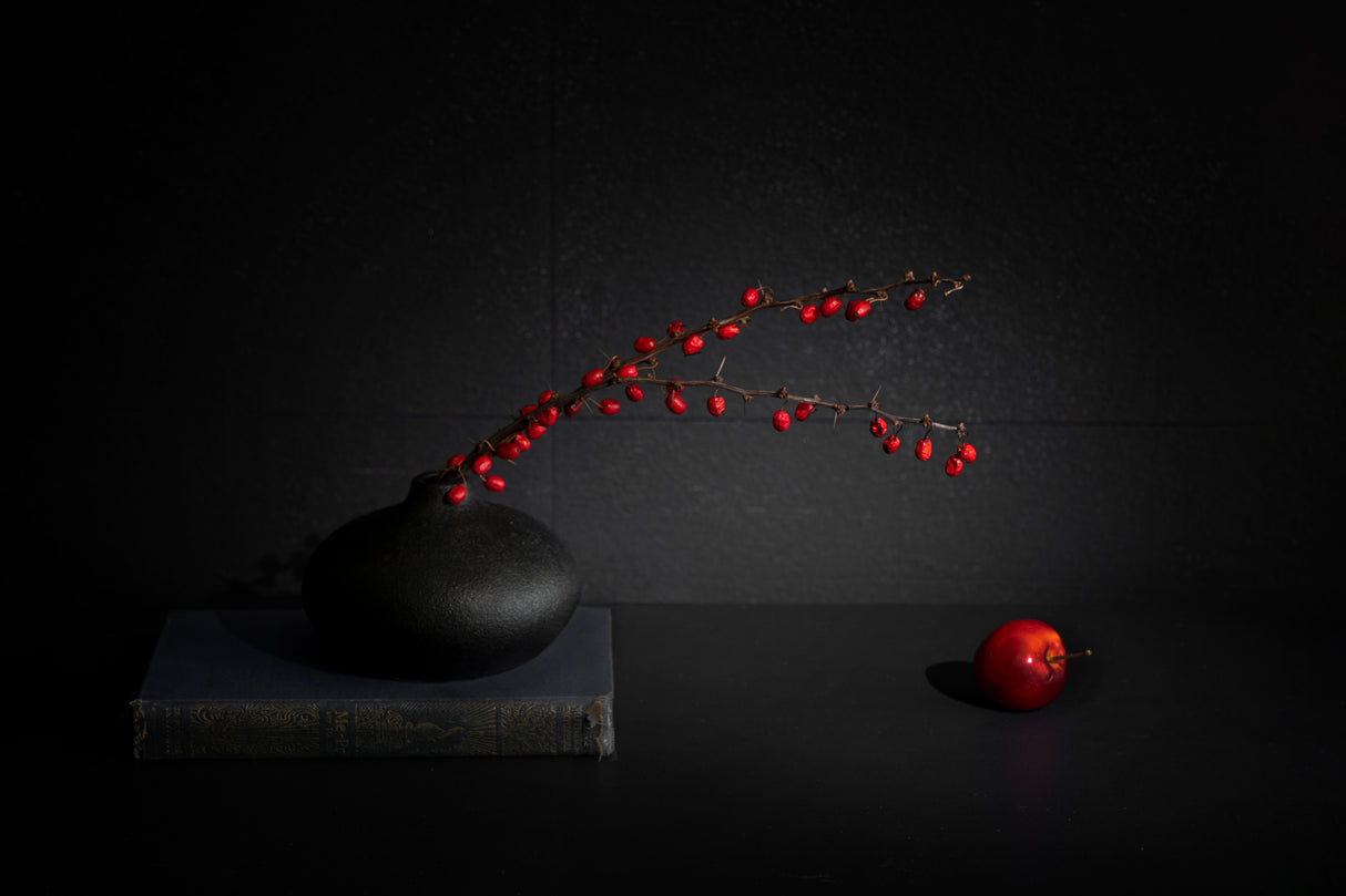Red berry II Poster och Canvastavla