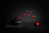 Red berry II Poster och Canvastavla