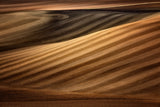 Earth colors Poster och Canvastavla
