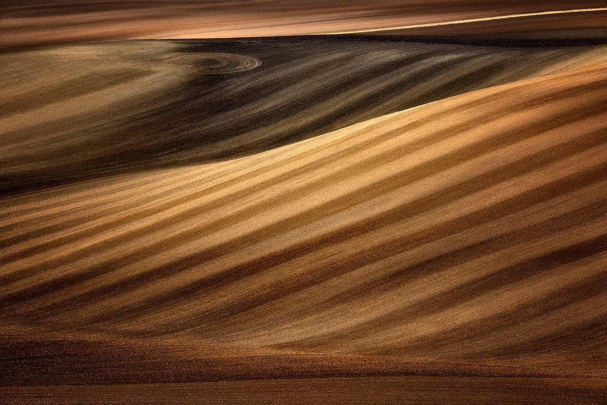 Earth colors Poster och Canvastavla