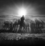 Morning light Poster och Canvastavla