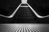 Going Up Poster och Canvastavla