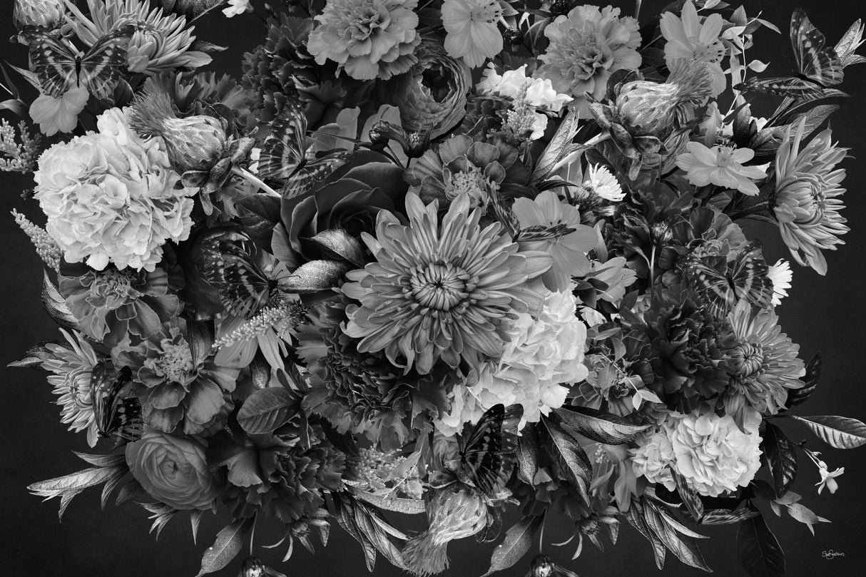 Sunset Sunrise Black &amp; White Poster och Canvastavla