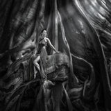 Woman and The Old tree Poster och Canvastavla