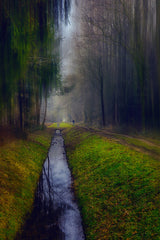 Walk alone - last walk Poster och Canvastavla