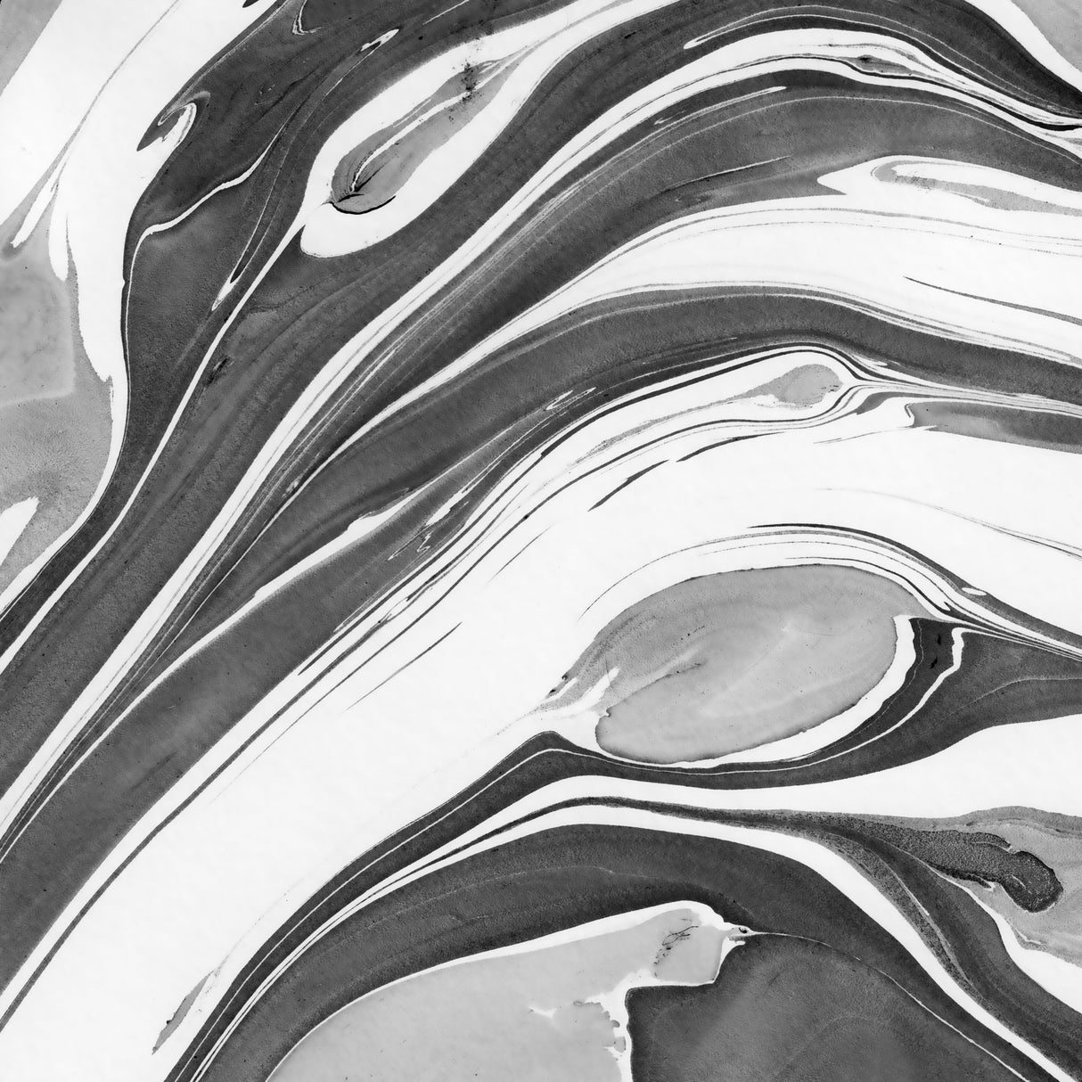 Ink Marbling Black and White 02 Poster och Canvastavla