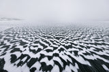 Camouflage lake Poster och Canvastavla