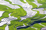 Lineart of terraces in Khau Pha_Mu Cang Chai_ Yen Bai_03 Poster och Canvastavla