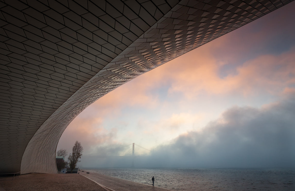 Morning fog Poster och Canvastavla