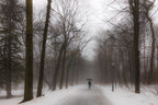In the winter rain Poster och Canvastavla