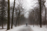 In the winter rain Poster och Canvastavla
