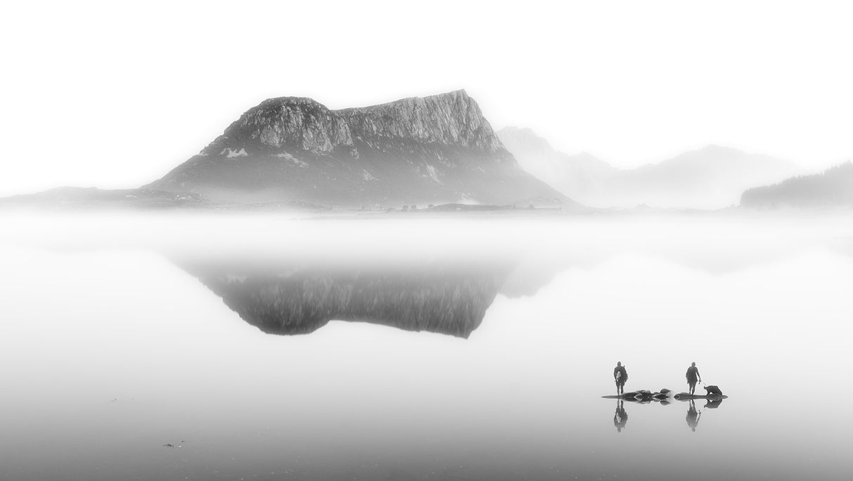 Inverted image Poster och Canvastavla