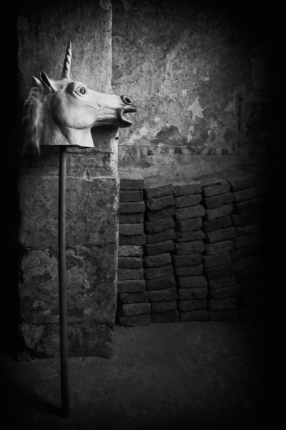 the unicorn Poster och Canvastavla