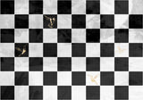 Checkerboard with gold hummingbirds Poster och Canvastavla