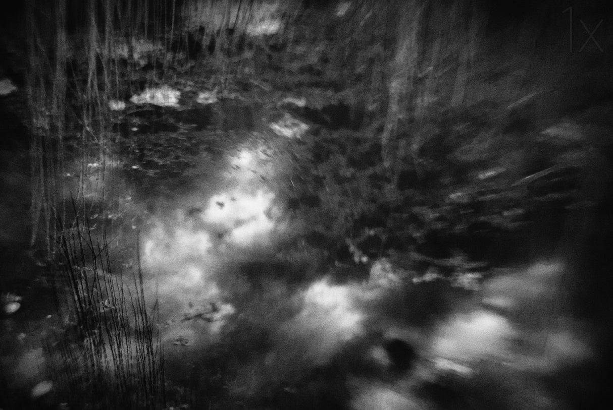 Poster och Canvastavla