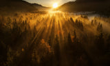 Aerial shot of an autumn forest Poster och Canvastavla