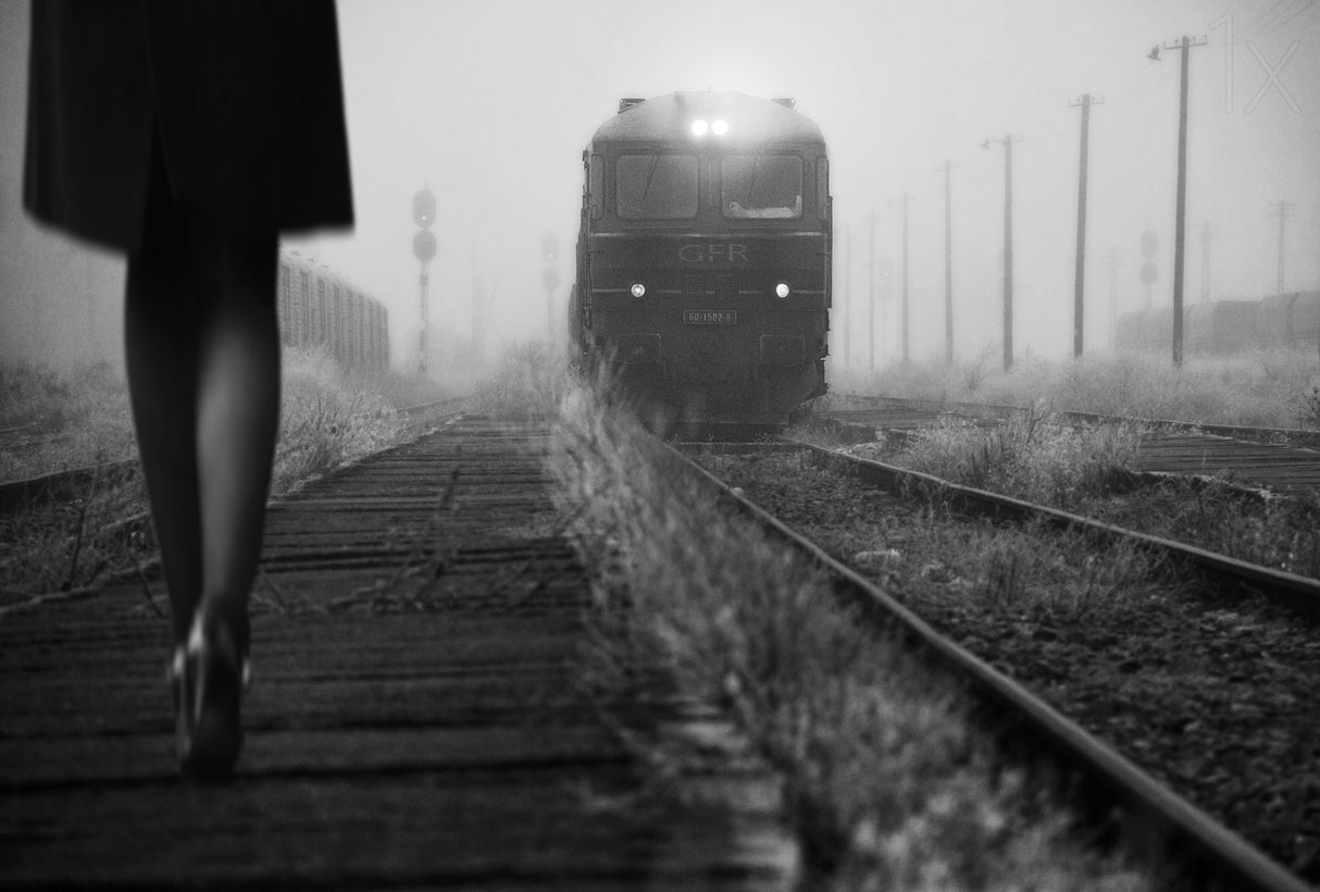 november passengers Poster och Canvastavla