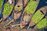 Workers unload watermelons from the boats using big baskets Poster och Canvastavla