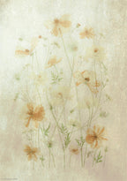 Yellow Cosmos Poster och Canvastavla