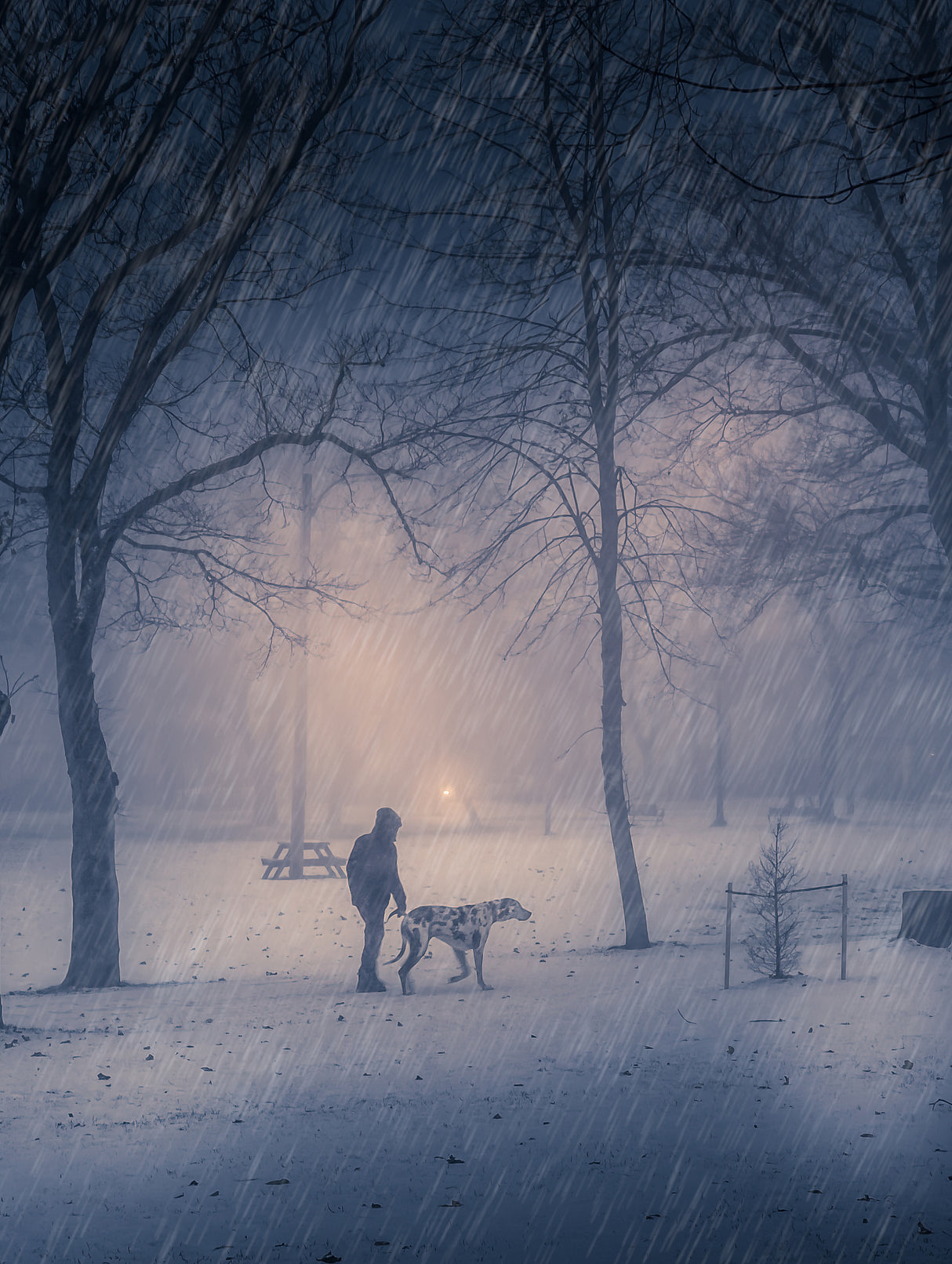 A winter storm walk in the park Poster och Canvastavla