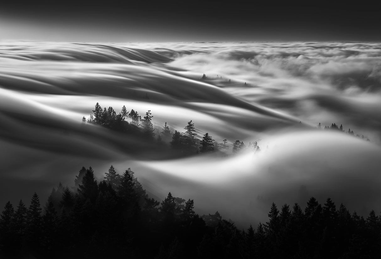 Fog Wave Poster och Canvastavla