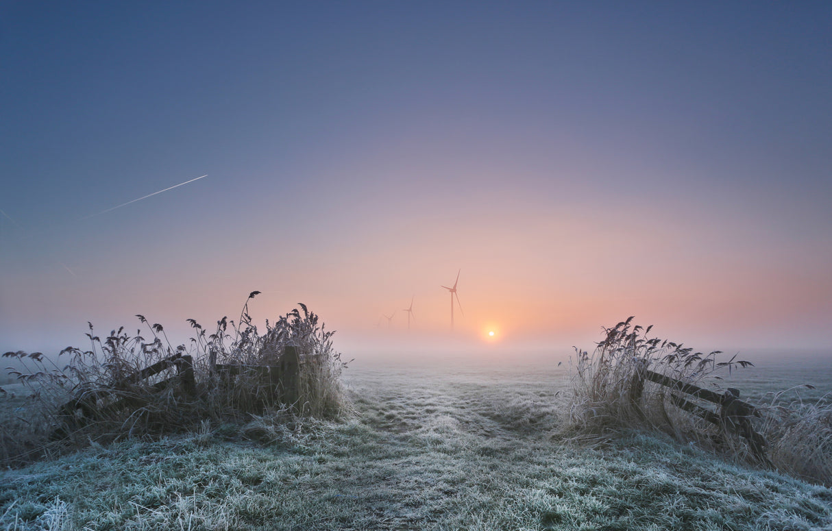 Frosty Morning Poster och Canvastavla