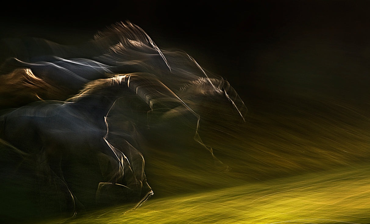 horsepower Poster och Canvastavla