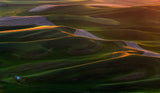 In the morning light Poster och Canvastavla