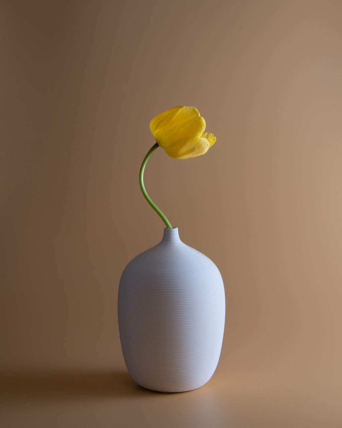 Tulip Poster och Canvastavla