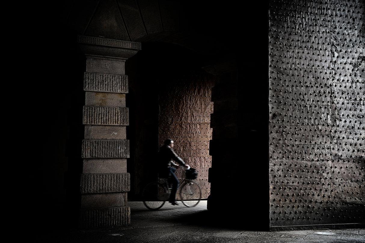 between dark and light Poster och Canvastavla