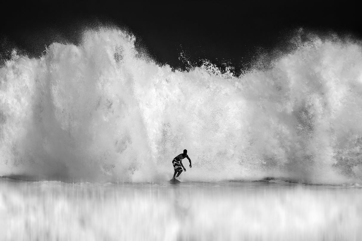 Surfing Poster och Canvastavla