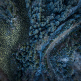 Vitosha stone river Poster och Canvastavla
